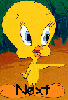 next.gif (5693 bytes)