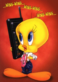 tweety32.gif (40545 bytes)